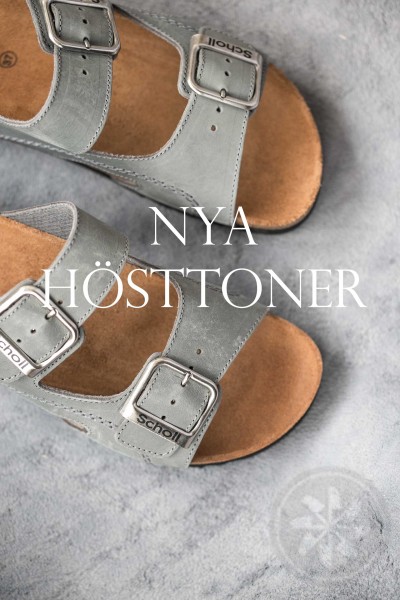 NYA HÖSTFÄRGER